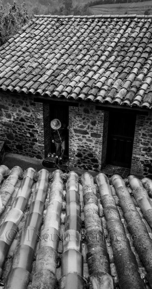 Hotel Palacio De Libardón Oda fotoğraf
