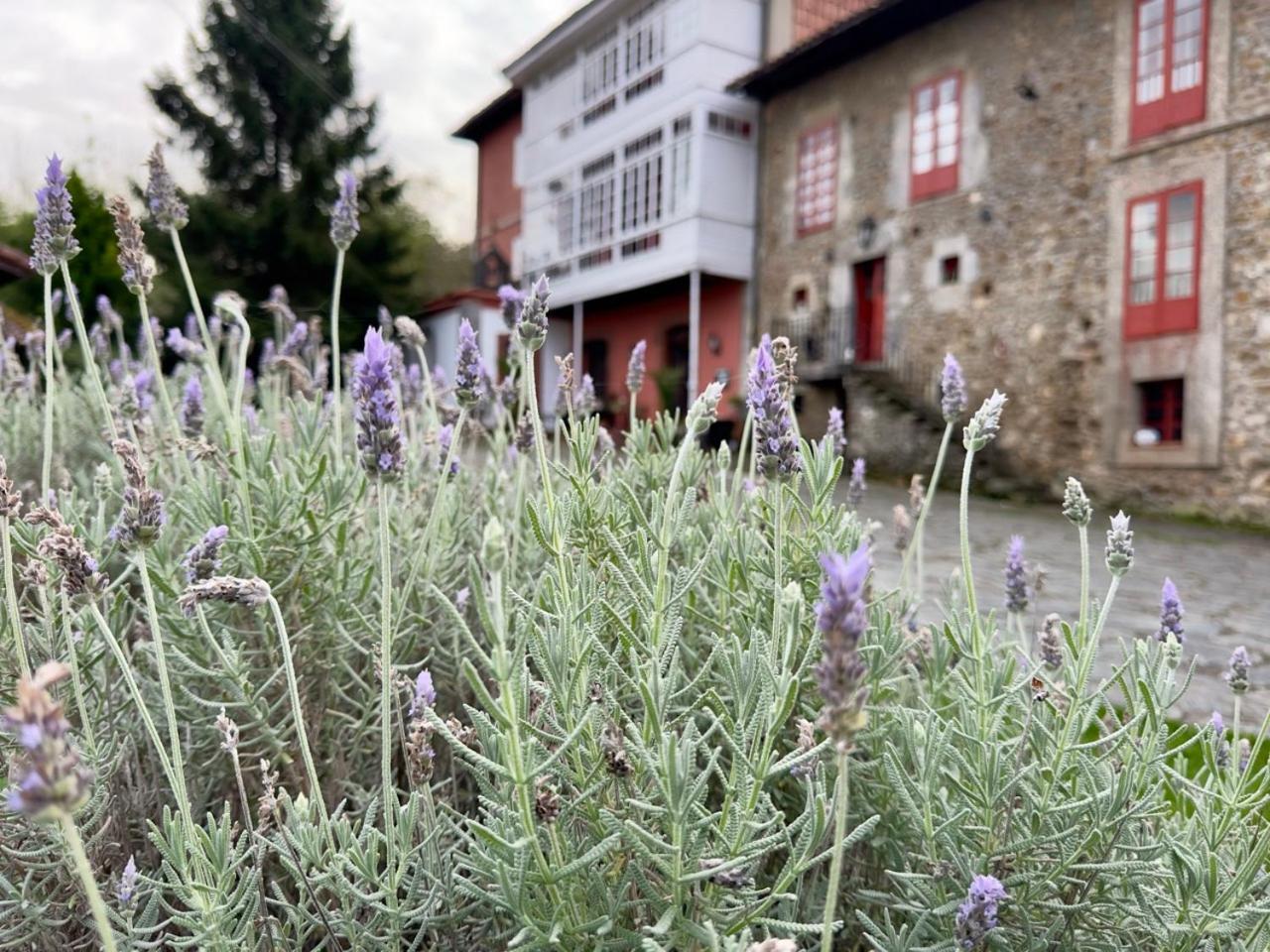 Hotel Palacio De Libardón Dış mekan fotoğraf